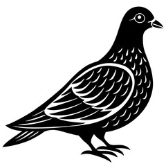 dove of peace