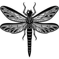 dragonfly vector illustration