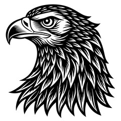 eagle vector illustration