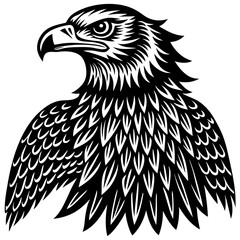 eagle vector illustration