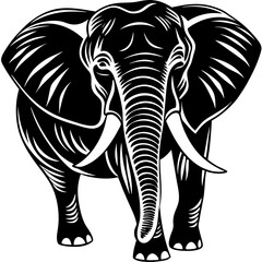 elephant vector illustration