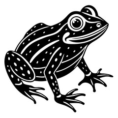 frog on white background