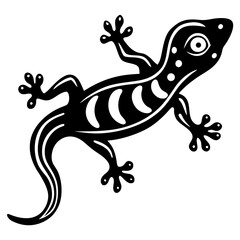 Fototapeta premium lizard on white background