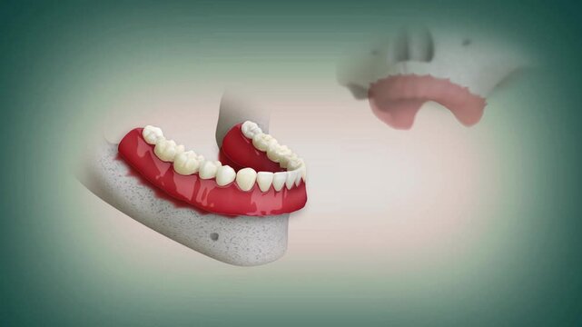 3D animation of removable full denture for the both upper and lower jaw.