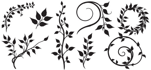 vine climbing plant with  leaf set silhouette, flat vector illustration isolated on white background. black vines plant decorative vector