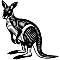 kangaroo vector illustration