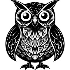 owl on white background