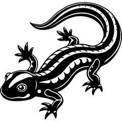 lizard on a black background