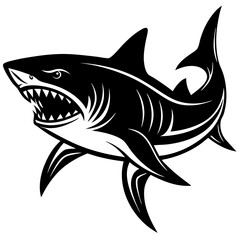 shark vector illustration