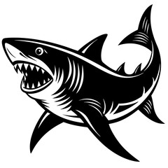 shark vector illustration