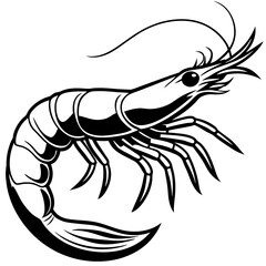 vector illustration of an octopus