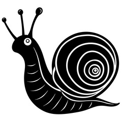 snail on a white background