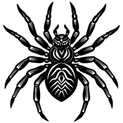 Obraz premium spider on a black background