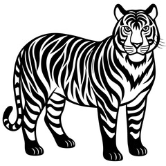 tiger vector illustration