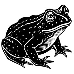 vector illustration of a frog