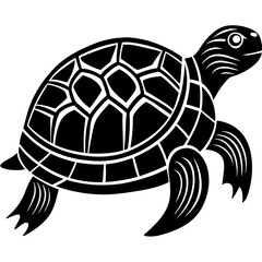 turtle vector illustration
