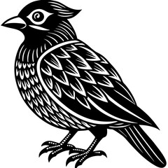 vector illustration of a bird
