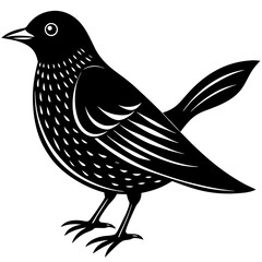 bird on a white background