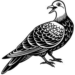 vector illustration of a bird