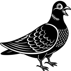 vector illustration of a pigeon