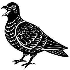 vector illustration of a bird