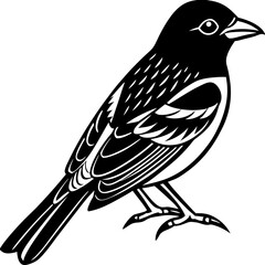 vector illustration of a bird