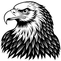 eagle head vector illustration