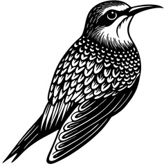 bird on a white background