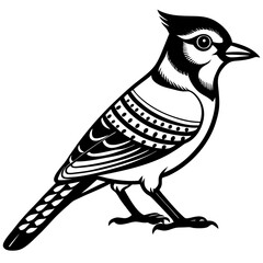 vector illustration of a bird