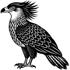 eagle on a white background