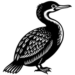 vector illustration of a bird