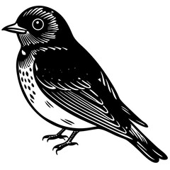 vector illustration of a bird
