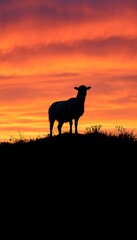 Sheep Silhouette Against Vibrant Sunset Sky On Hilltop