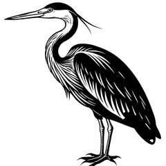 heron on a white background