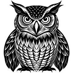 owl on white