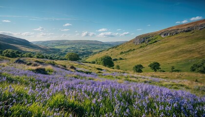 a vibrant field of bluebells carpets a lush green valley nestled between rolling hills under a clear blue sky with contrails overhead.