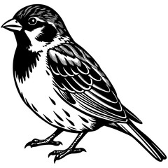 bird on a branch