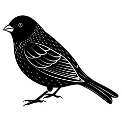 vector illustration of a bird