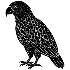eagle isolated on white background