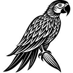 vector drawing of a bird