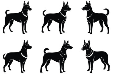 Austrlian kilpas vector