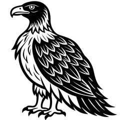 eagle isolated on white