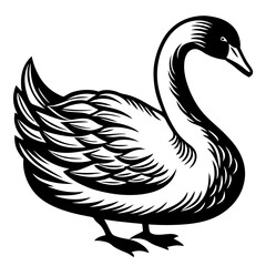 silhouette of a swan