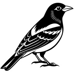 bird on a branch