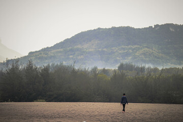 A lone person walks away into the distance on vast sand dunes, with a backdrop of lush green trees and a hazy mountain range. 