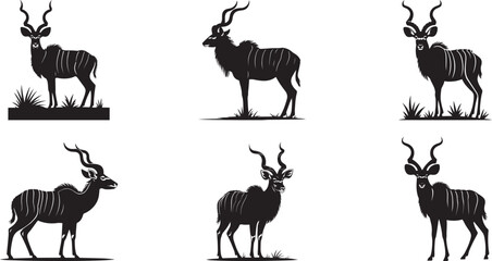 Fototapeta premium Majestic kudu antelope silhouettes African wildlife. eps-10