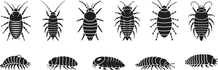 Various types of isopods black silhouettes illustration. eps-10