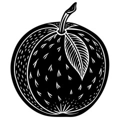 vector illustration of an apple