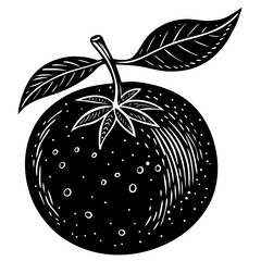 vector illustration of an apple