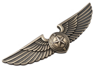 Pilot wing png aviation wing png pilot badge png flight badge png aircrew wing png pilot insignia png transparent background image